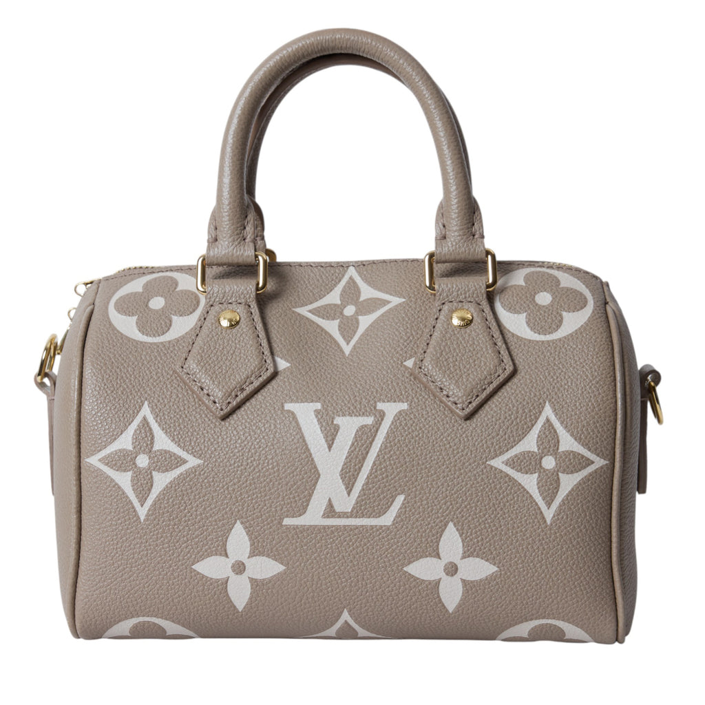 Louis Vuitton Mini Speedy
