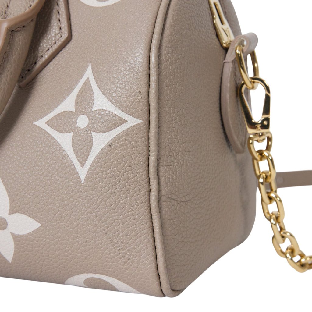Louis Vuitton Mini Speedy