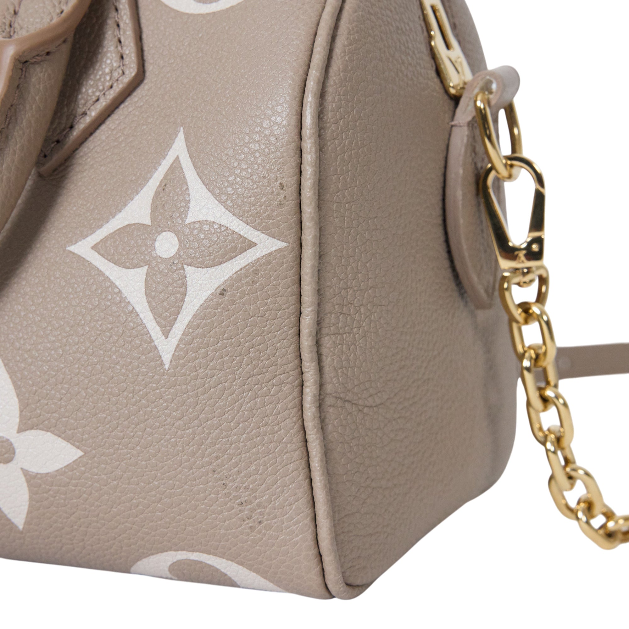 Louis Vuitton Mini Speedy