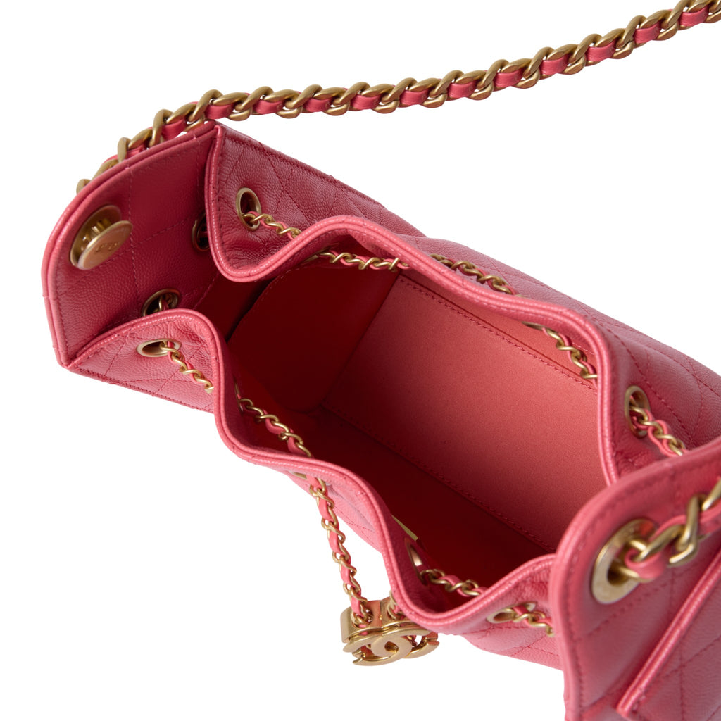 Chanel 25 Hobo Mini