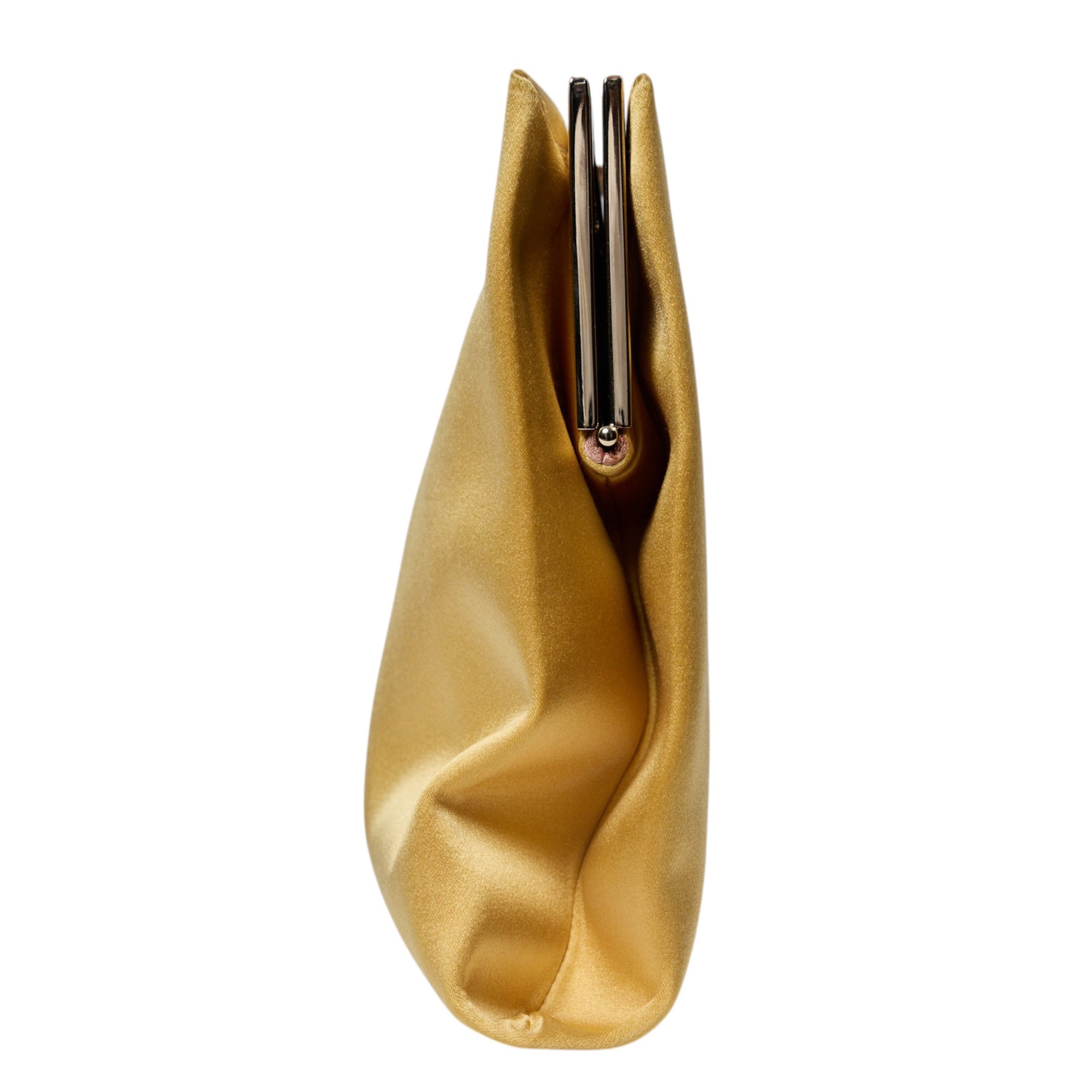 Roger Vivier Clutch