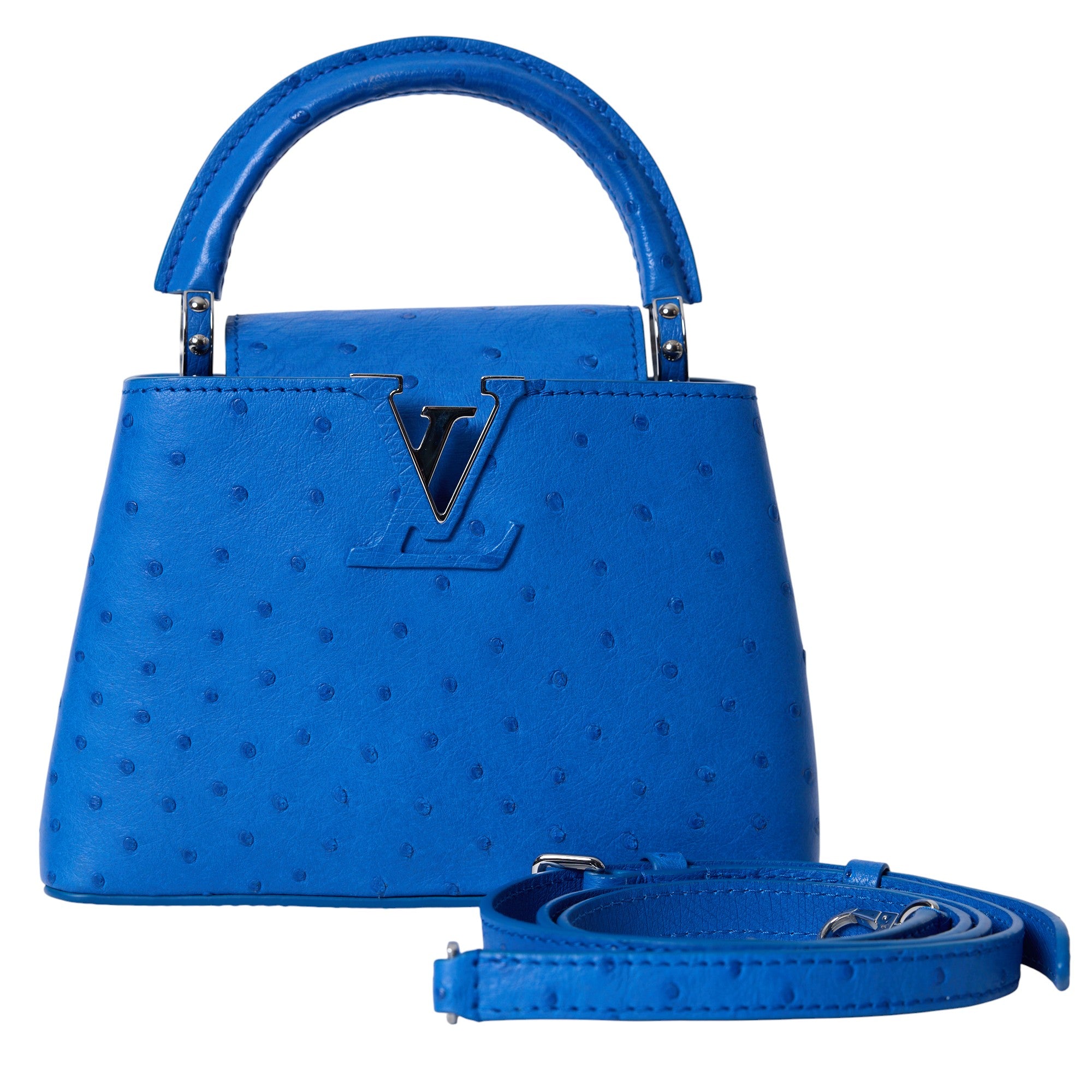 Louis Vuitton Cappucine BB
