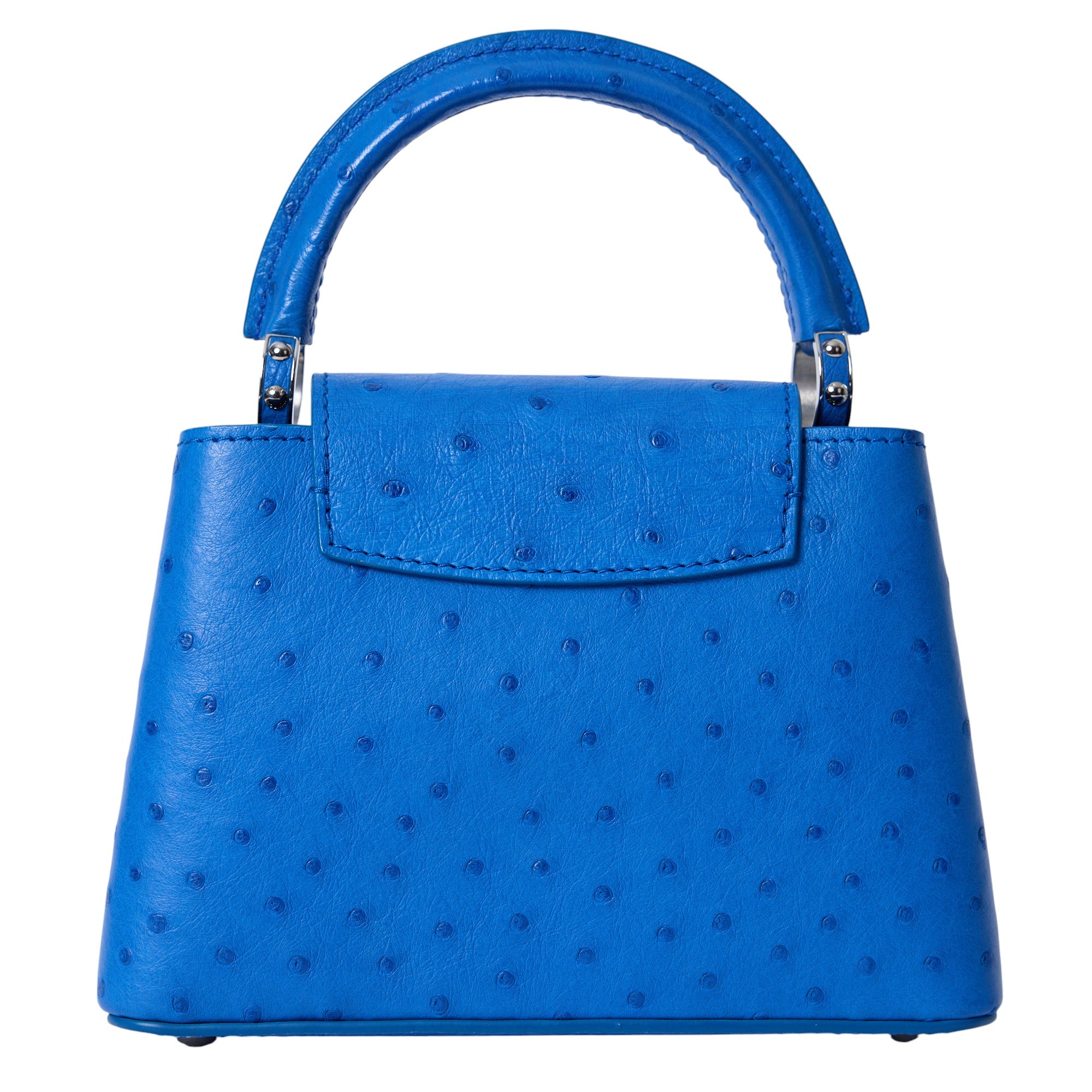 Louis Vuitton Cappucine BB